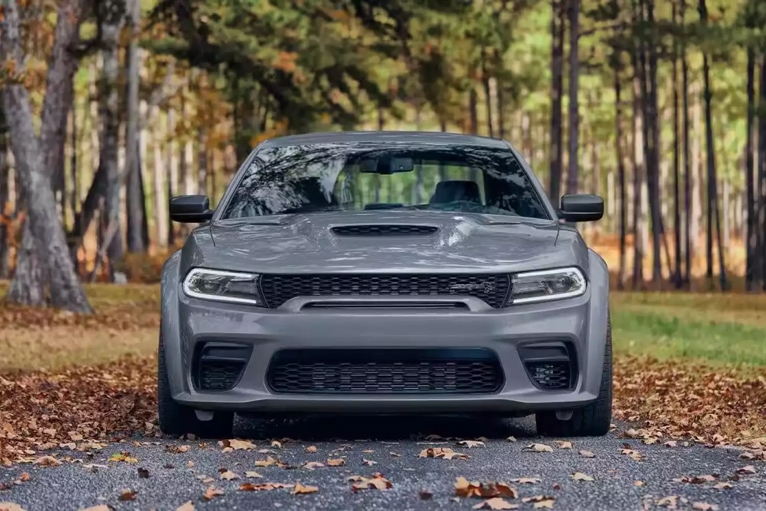 Dodge Charger car trash can