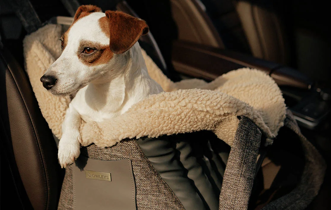 Sealyham Terrier Dog Carrier Car Seat for Audi A4