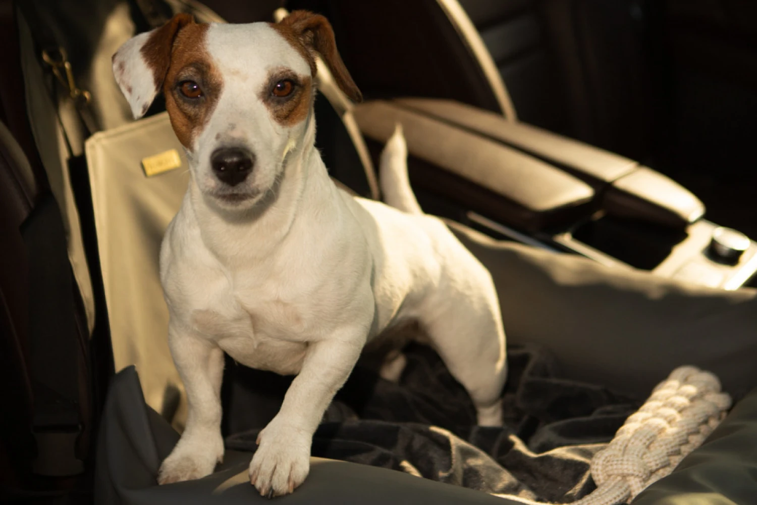 Dachshunds Dog Car Seat for Subaru Ascent