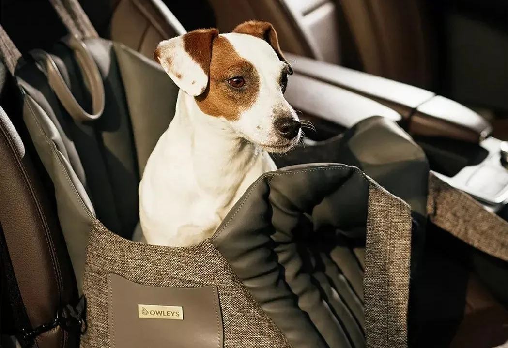 Sealyham Terrier Dog Carrier Car Seat for Audi A4