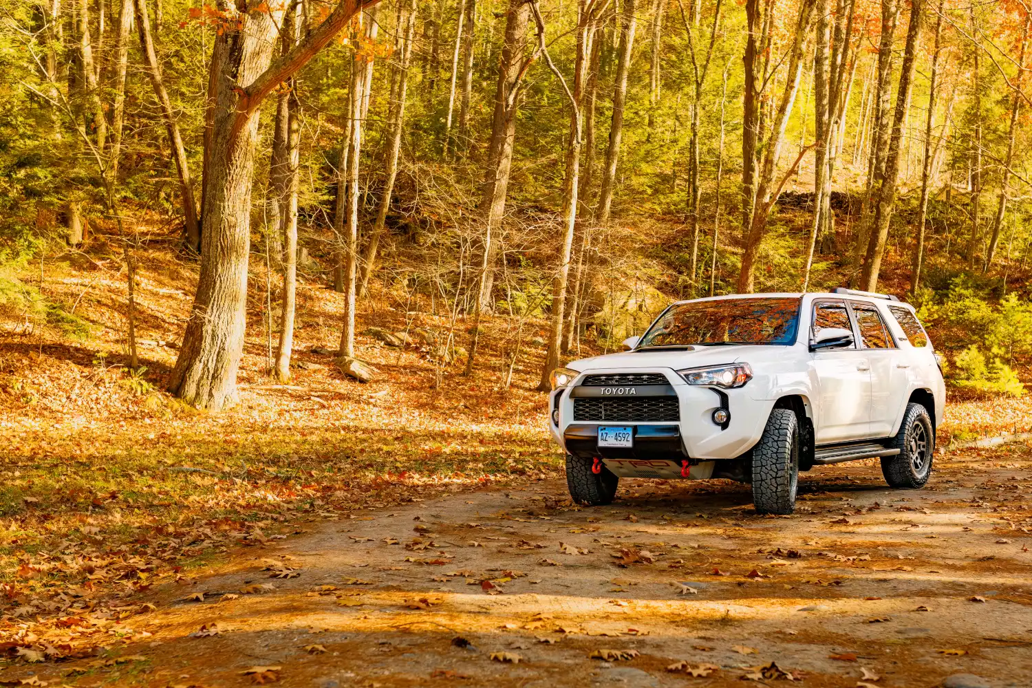 trash containers for Toyota 4Runner