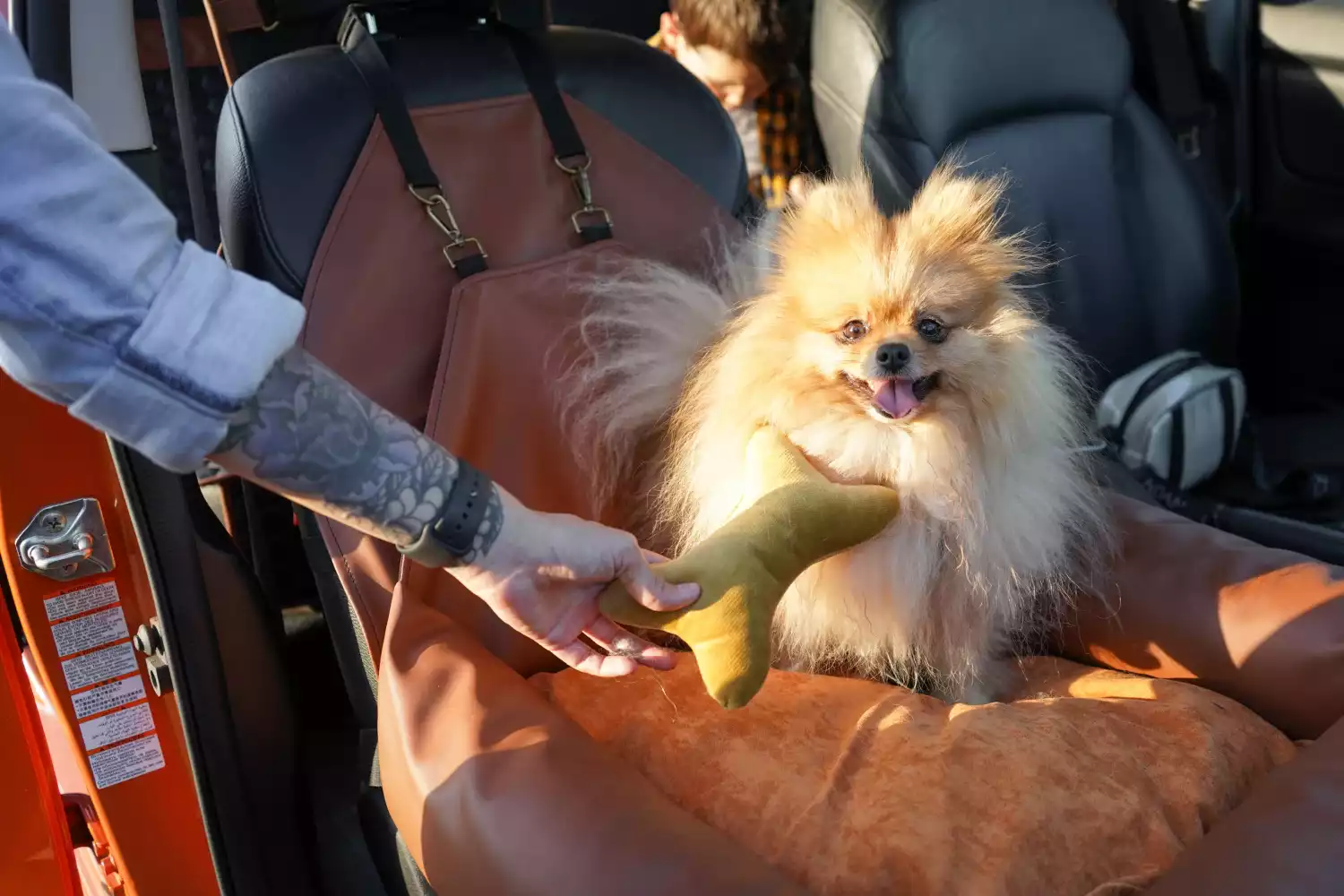 Hyundai Santa Fe Dog Car Seat for Australian Terriers