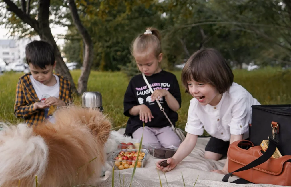 cute waterproof picnic blanket