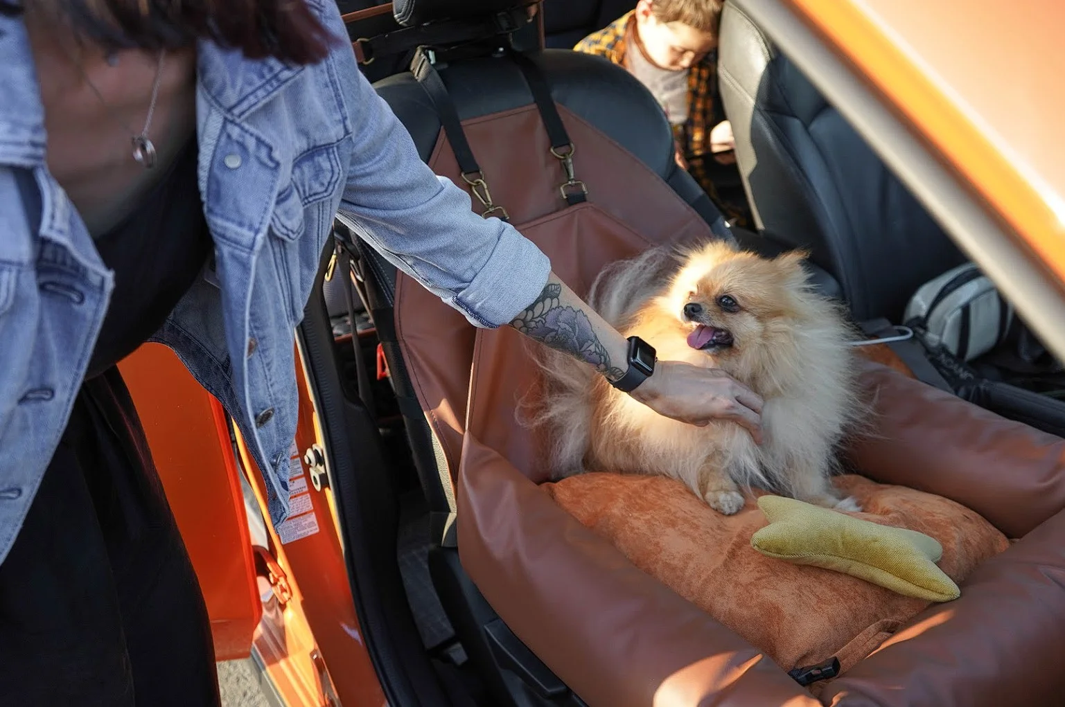 Dachshunds Dog Car Seat for Subaru Ascent